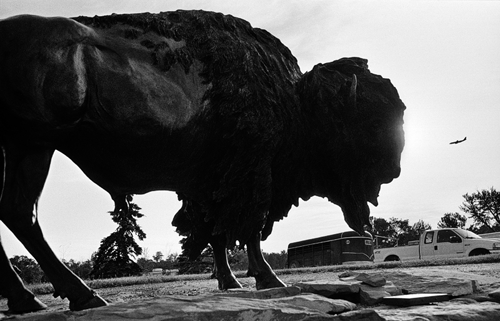 Cowboy Wild Photo Essay #3