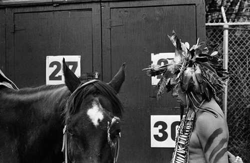 Cowboy Wild Photo Essay #7