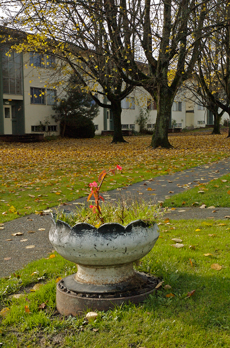 Planter