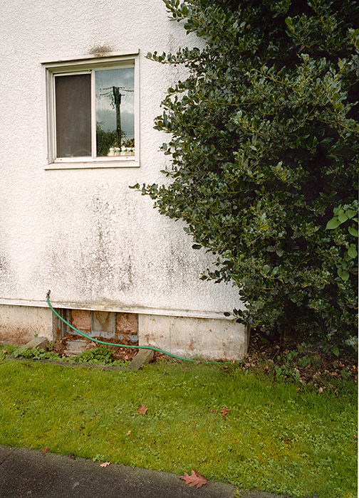 Window