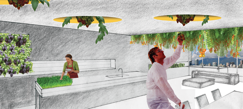 Point Seven: Ecologize the Interior